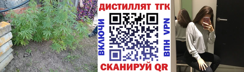мега ONION  Чернушка  ТГК концентрат  цены  